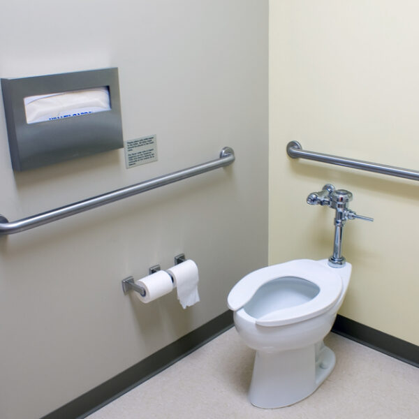 Bathroom for Handicap Peoples in Michigan