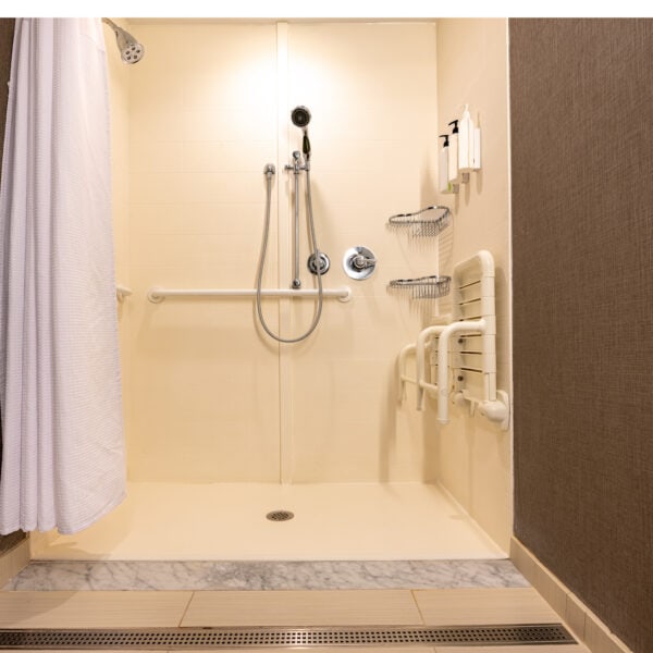 Accessible Bathroom Upgrades in Madison Heights, MI