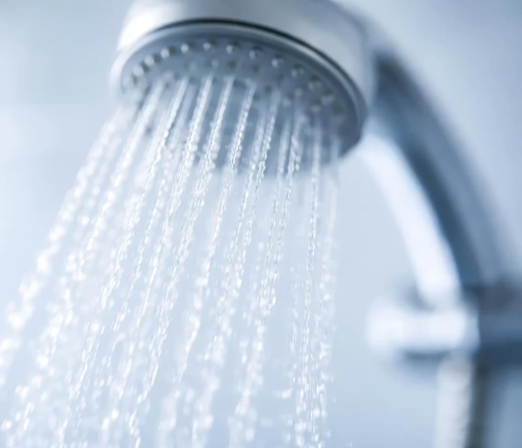 Handheld Shower 4 Handheld Shower 4